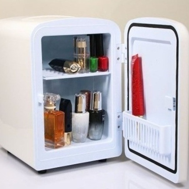 Small Makeup Storage Refrigera - Luxury Skincare Minis 评论和价格