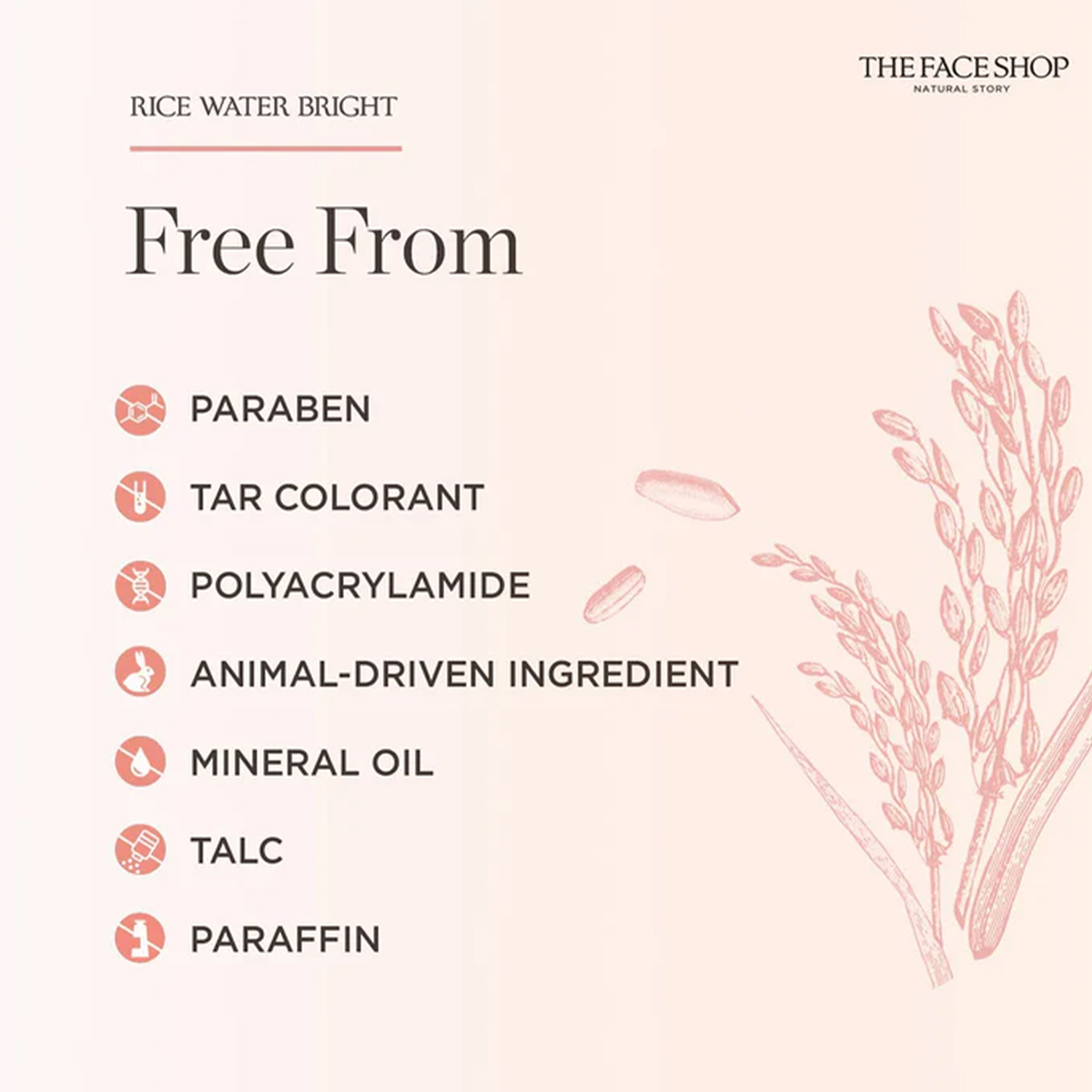 THE FACE SHOP RICE WATER BRIGH - Luxury Skincare Cleanser 评论和价格